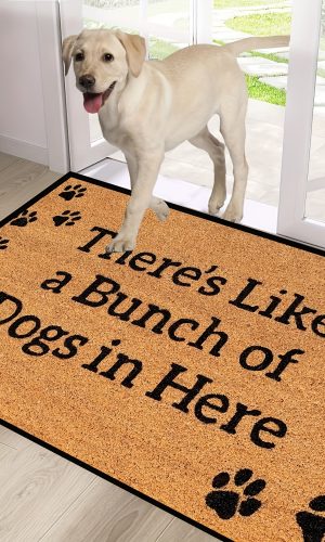 미끄럼 방지 머신 워시 가능 강아지·고양이 매트 사계절 웰컴 홈 현관 러그